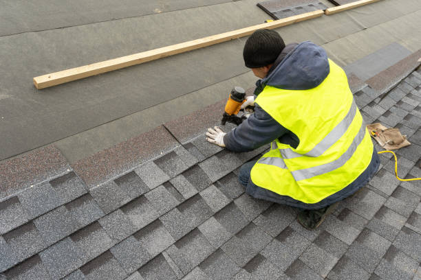 Best Metal Roofing Contractor  in Genoa, IL