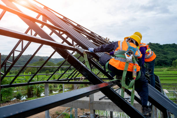 Best Metal Roofing Contractor  in Genoa, IL