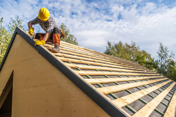 Best Commercial Roofing Services  in Genoa, IL