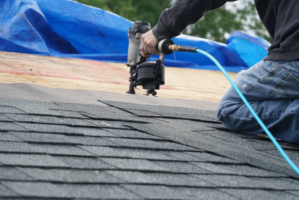 Best Residential Roofing Contractor  in Genoa, IL