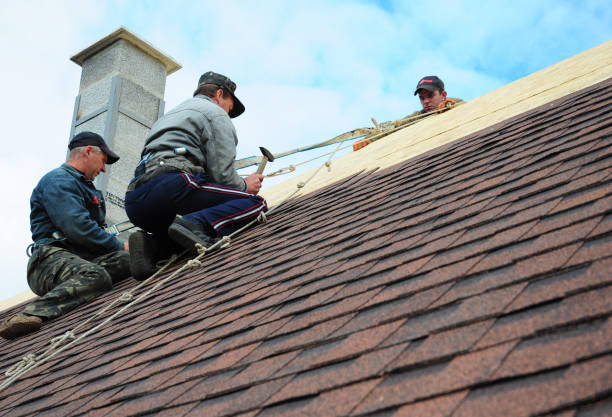 Best Shingle Roofing Installation  in Genoa, IL