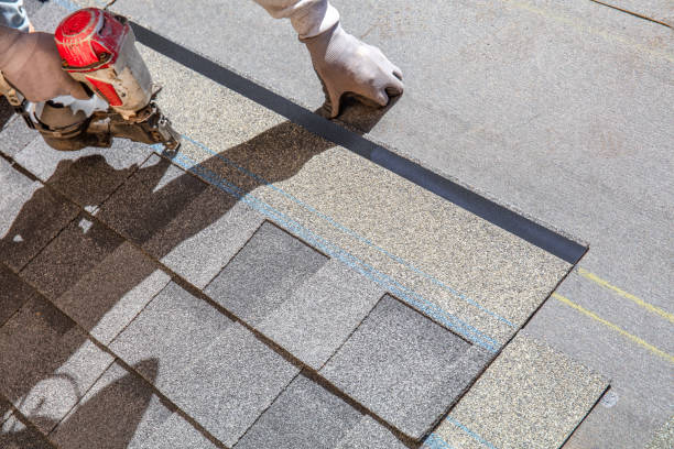 Best Roof Repair Services  in Genoa, IL