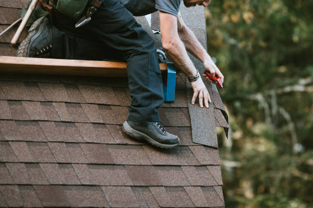 Best Roof Maintenance Services  in Genoa, IL