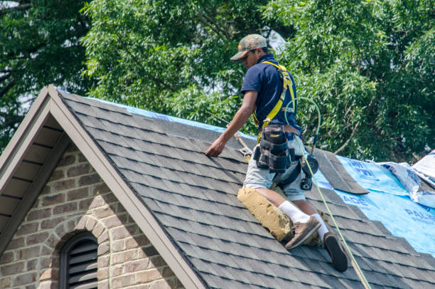 Best Roof Gutter Cleaning  in Genoa, IL